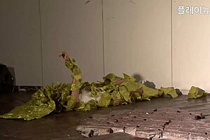 Sensual exhibition of Asian art star Evelyn Kuhnke