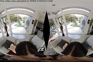 In a hardcore virtual reality experience Sexy hairy Evelyn Claire