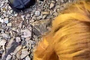 Camping site wild and rough sex with a petite blonde that needs a huge cumshot