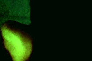 In the dark, a petite Latina teen moans loudly while getting slapped during intense doggystyle sex with a hardcore pornstar prostitute.