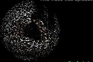 Girls with pretty feet and toes