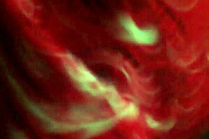 Big booty white bitch says, Give me that summer sausage!