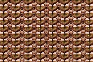 Honey select fucks big tits on christmas