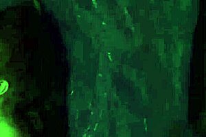 anya olsen says bdsm boots rough outdoor public fucky-fucky is her only thing