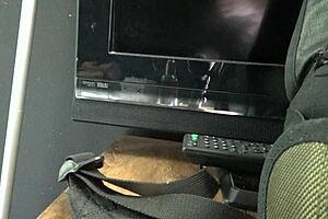 Watch PJ Daniels get her ass fucked hard in POV!