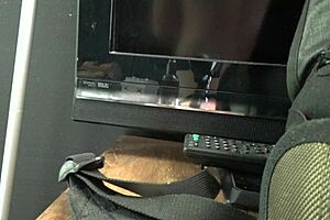 Watch PJ Daniels get her ass fucked hard in POV!