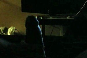 Wife Gives Intense Handjob in POV