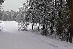 i saw a beauty blonde in the mid of the snow storm