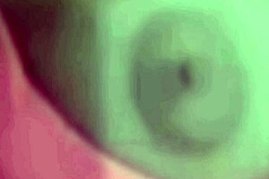 Young Girl Shows Her Boobs