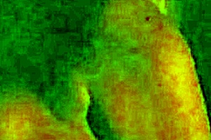 curvy latina gets passionate fuck with mature cock and squirting