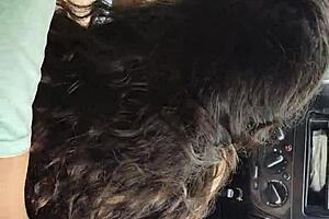 Latina indulges in intense public outdoor sex at the fair