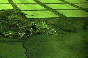 Amateur teen bound in rough bondage sex.