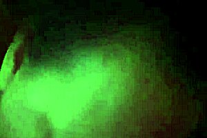 Bbw Homemade Video Featuring Amateurs In Bent Over Positions