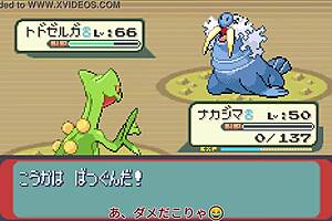 Yukkuri sapphire all pokemon part 17