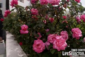 handling presidential tasks with my tits in a naughty way