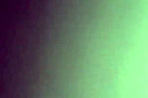 Cojiendo De A Perrito