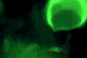 old content on hold, check back later 📅