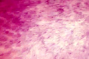 the closeted gay guy gets his ass fucked in a secret encounter. he moans loudly.