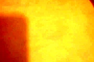 Exploring intimate moments with a brunette in a private setting