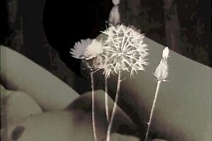 wonderful world of vintage interracial threesome