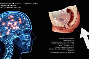 santy intensely fucks anissa kate's tight ass with raw passion