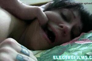 The tale of Himmler's harlots