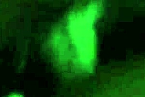 Naughty Neighbor's Secret