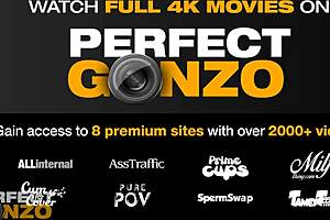 erika bellucci's allinternal com trailer scene