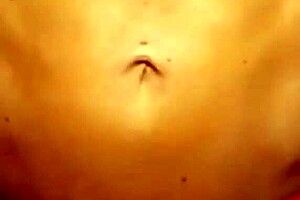 can wwe divas hold back from cumming in this challenge?