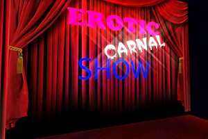 Meat on meat in steamy cartoon sex.