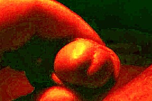 Ifoslave solo cumming on request with cock bdsm