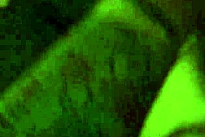 Helping the neighbor's wife with chores