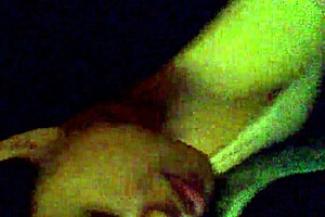 Asian Milf Seduces Teen Lover