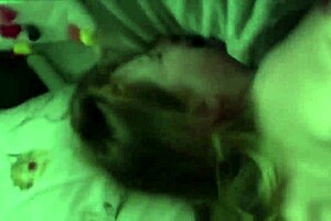 Amateur couple explores hot anal sex, cum filling her mouth