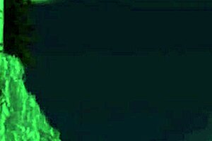 i watched those naughty babes moan as their butts got banged hard in a group fuck