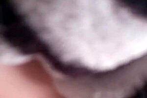 blowjob leads to intense dick riding session