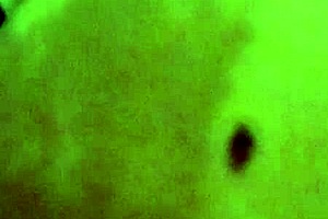 She loves sucking and anal.