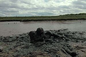 Mud Wrestling: Who Wins, Women or Men?