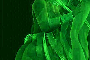 Usagiyama gets fucked by two boys in boku no hero academia hentai 😈