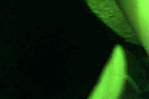 Look At That Big Thick White Girl's Ass!