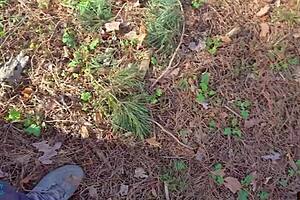 She rubs her wet panties intensely, then gets a homemade creampie outdoors.