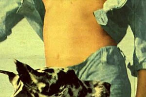 Vintage porn: Hairy pussy and natural tits