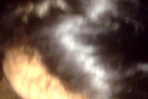 latina sucking dick leads to anal assfucking with blowjob cock in amateur hardcore