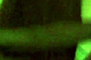 Asian Vietnamese Lovers Making Love!