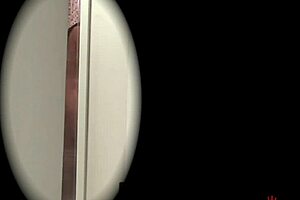 danny mancinni caught in bathroom with latina pornstar