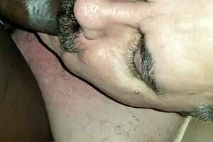 White bear sucking big cock 😏