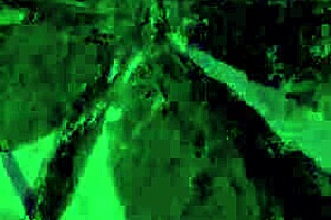 Vintage Orgy Group Fuck