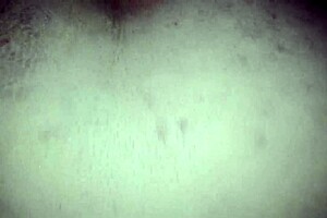 sj l cachando a pasivo