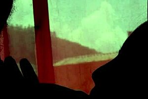 Ever tried a blowjob in the shadows with your partner?