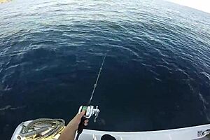 japanese guys enjoy a casual fishing outing 😊